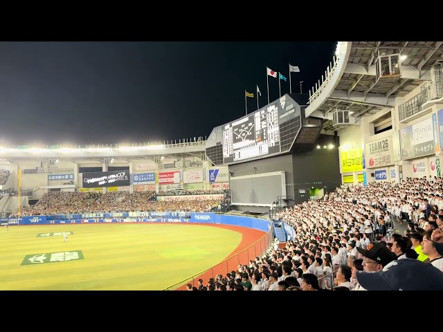 Cheering Theme 5 2026/5/29 Lotte vs Hanshin Tigers #chibalotte