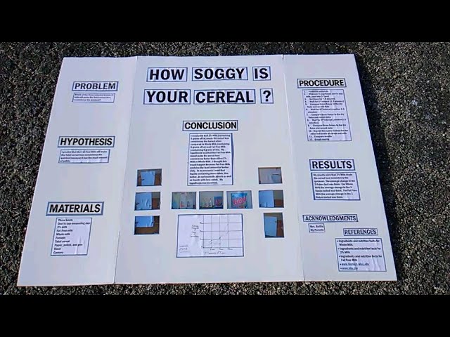 Cereal Insanity BONUS! How Soggy is Your Cereal? Science Insanity!