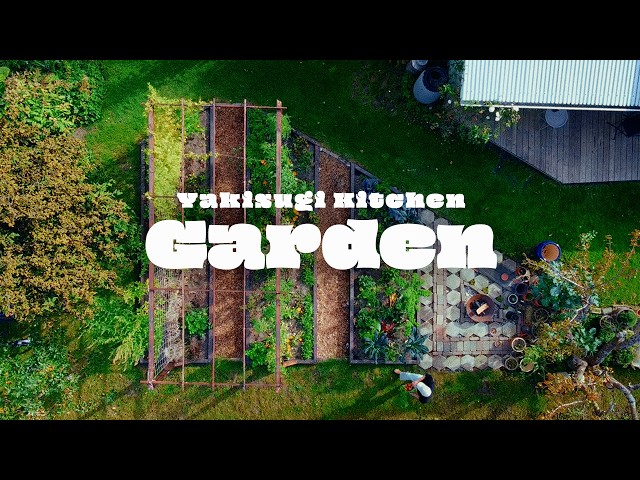 I Built and Grew a Kitchen Garden in 8 Months
