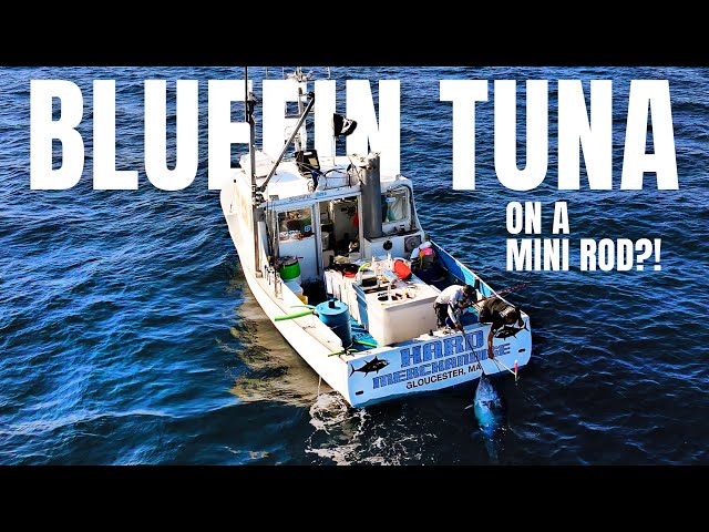 Reeling in a GIANT Bluefin Tuna on a MINI Rod with Wicked Tuna’s Hard Merch!