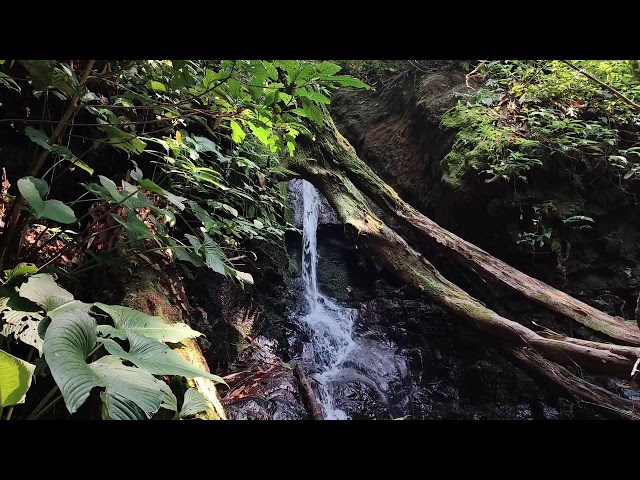 Relaxing Music, Sleep Music, Water Sounds, Meditation Music, Healing Piano for Quiet Tranquility