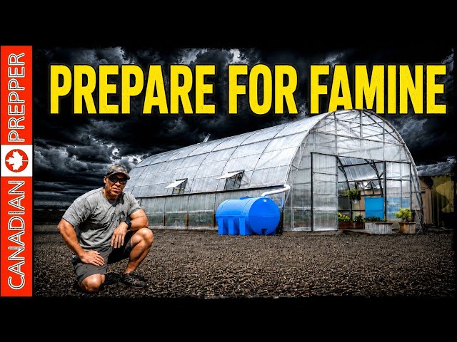 ⚡How I'm Prepping for a WW3 FOOD Apocalypse and Famine