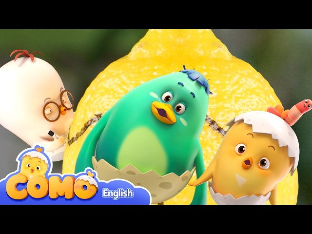 Curious Como | 💡 Curious Como Wonders About Everything!