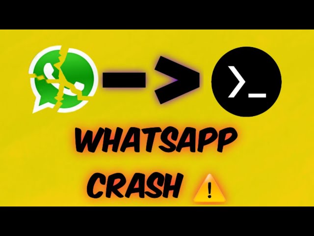 WhatsApp Bug Explained ⚠️ | Educational | 2026 #whatsappbot #bug #ethical #telegrambot #viralvideo