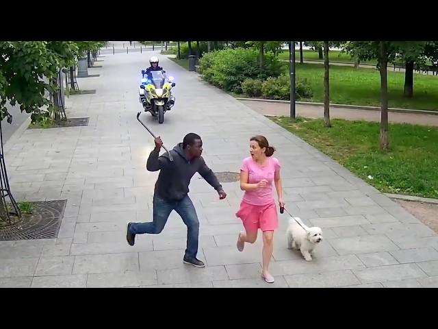 Instant Karma Caught on Camera