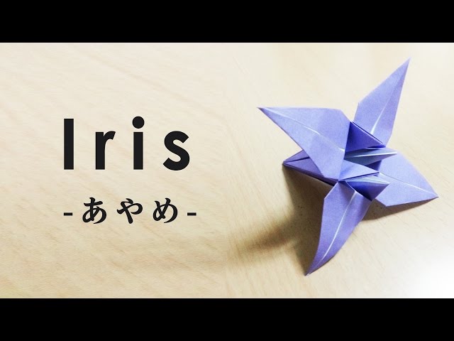 How To Make a Origami Paper iris (Traditional Japanese culture,日本伝統文化,折り紙,あやめ）