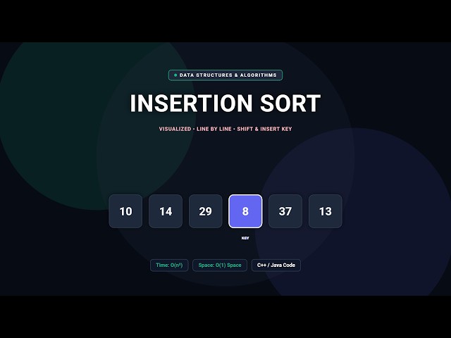 Insertion Sort Algorithm Visualized | C++ & Java