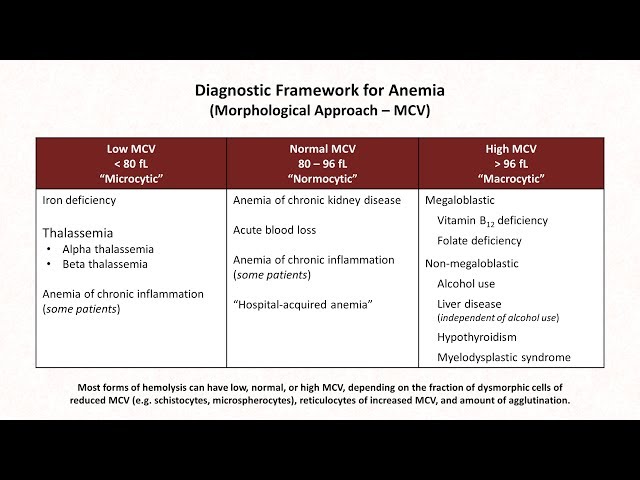 Anemia: Lesson 1 - Diagnostic Frameworks