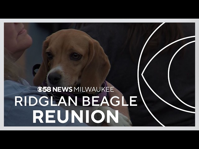 Madison reunion marks Ridglan Farms closure and renews fight against animal testing