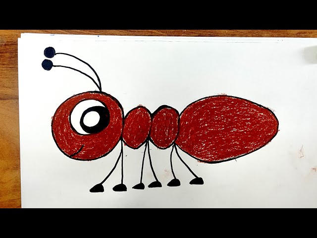 How to draw an ant easily || easy drawing and colouring for kids and toddlers 