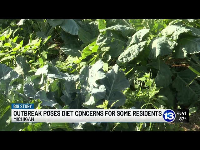 13 Action News Big Story: Cyclosporiasis outbreak