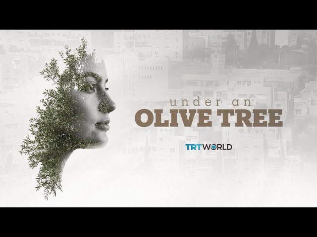 TRT World's Special Documentary | Under an Olive Tree