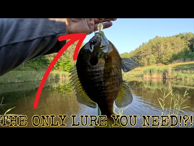 Is This INLINE Spinner The BEST Summertime LURE? | FISHING With The ROOSTER Tail!  #thenextcast