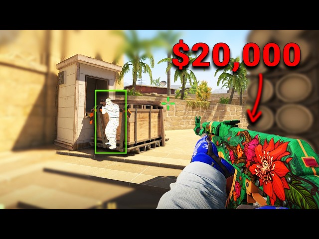 This CS2 Cheater has a $20,000 inventory...