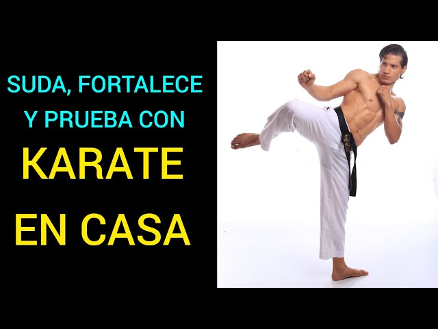 KARATE EN CASA, Para todos los Niveles, entrena y Prueba🥋🔥