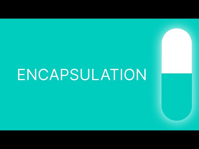 Encapsulation in Python Explained 🔐 | Python OOP in Tamil | NagulCodeZ