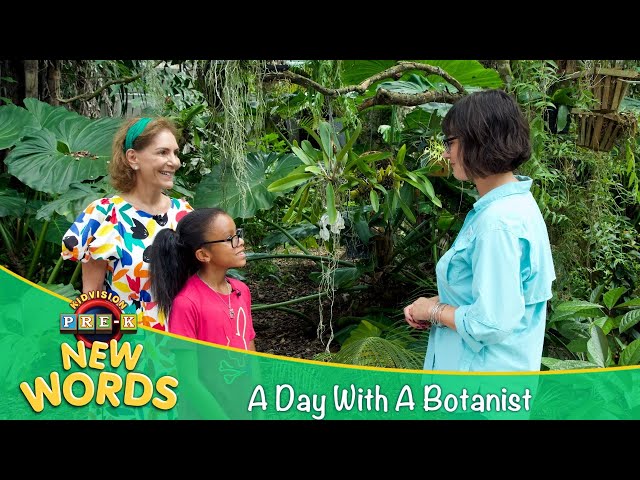 A Day With A Botanist | New Words | KidVision Pre-K