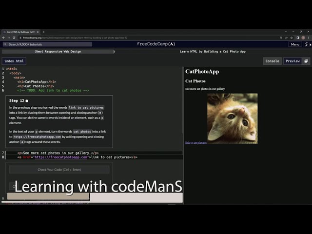Learn HTML by Building a Cat Photo App - Step 12