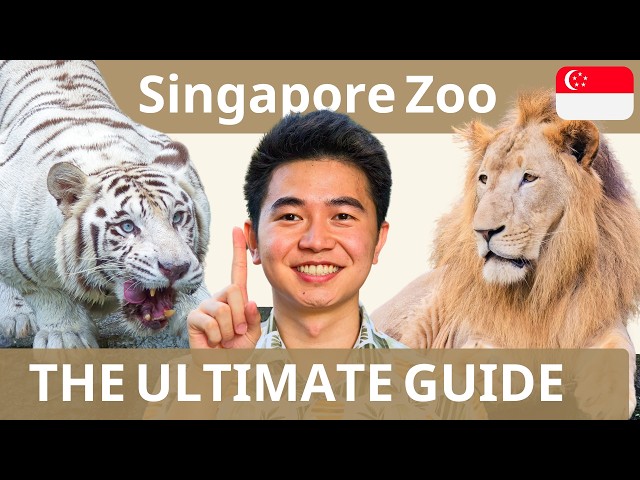 The Singapore Zoo - ALL You Need to Know