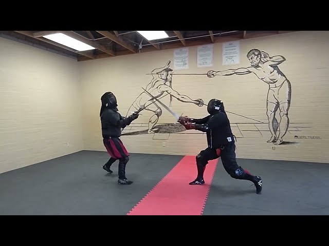 2 handed sword  vs hand and a half sword