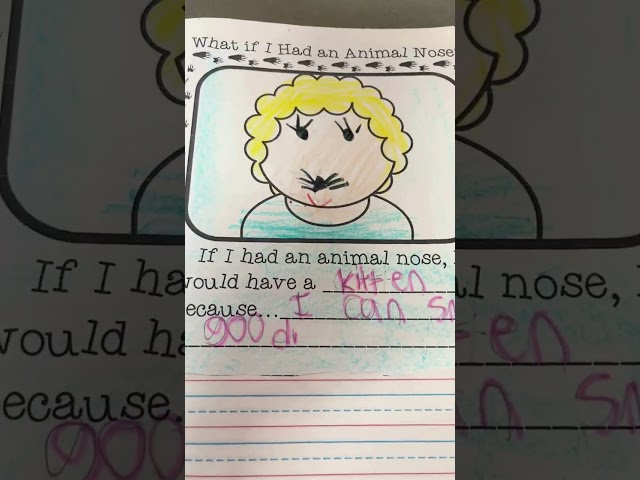 First Grade Science & Social Studies Notebook