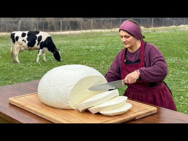 A Peaceful Day in the Village Making Mozzarella Cheese