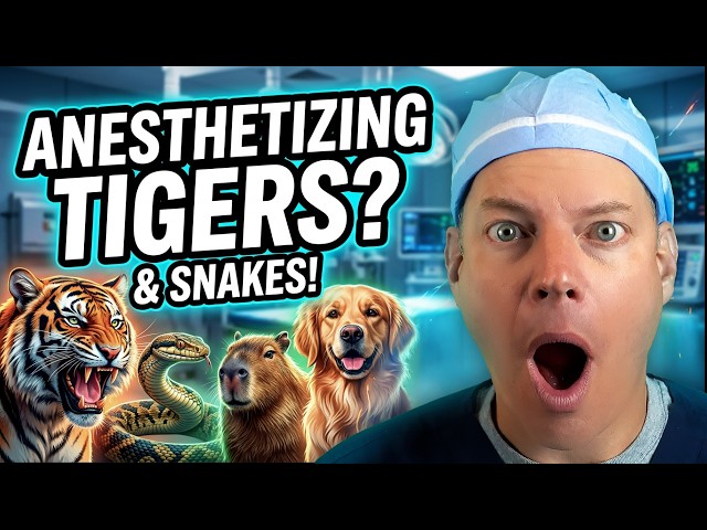 Veterinary Anesthesia: From Dogs to Tigers, Snakes, and Even Capybaras