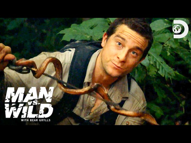 Surviving in the Jungle with Bear Grylls 🌴🧭 Man Vs. Wild | Discovery