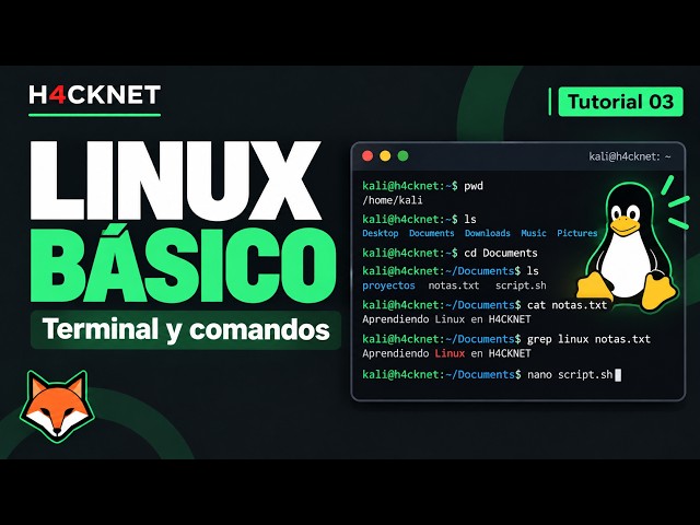 03  Linux desde cero terminal y comandos básicos — H4CKNET
