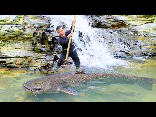 Primitive Life: Dwarf Family Battles Python, Cleans Flood and Catches Giant Fish