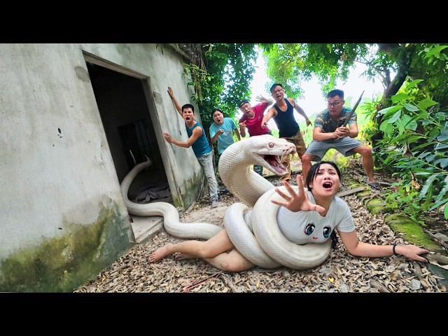 brave experts rescue girl from ferocious giant white python in abandoned house