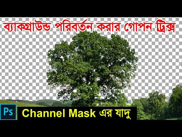 Photoshop Tutorial : How to Change Background Using Channel Mask.