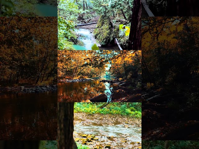 MICRO SCENES EP5 | RIPPLES THROUGH TIME