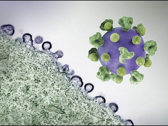 HIV/AIDS-Mechanism | Human Health and Diseases | Class XII | Biology | Khan Academy