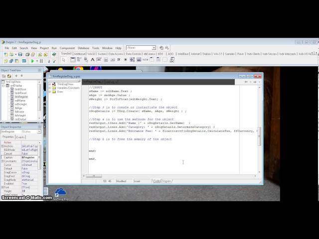 Object Oriented Programming | Using the Object