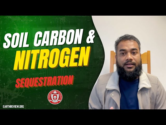 Soil Carbon and Nitrogen Sequestration: Why Soil Holds the Key to Climate and Food Security