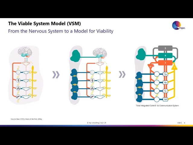 Introduction to the Viable System Model VSM