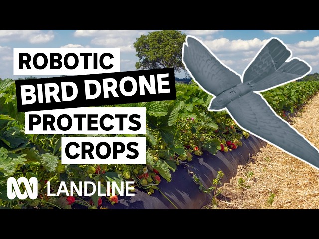 Is this the future of pest control? | Landline | ABC iview