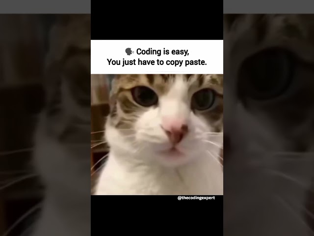 💻 Coding Is Easy? 😳 Just Copy-Paste? | The Reality of Coding 😂🔥 #Coding #Programming #codingmeme