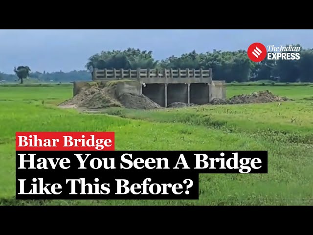 Bihar Bridge In Field: Bridge Built in Open Field at Bihar Village, No Road on Either Side