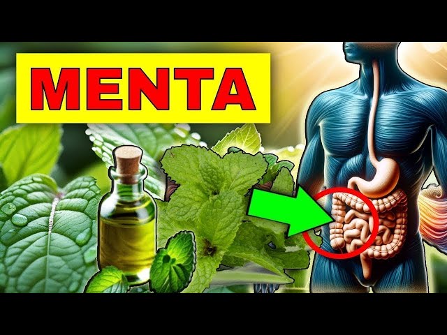 ENFERMEDADES que SANAN con MENTA (CÓMO USARLA)