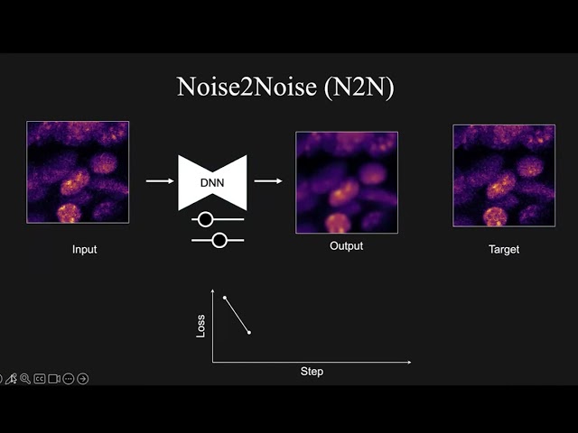 VIA Webinar: Deep learning denoising for volume microscopy