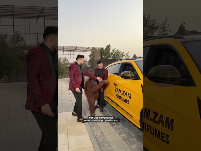 #Zamelectproperties #abdulghafoor #muhammadshakoor #chotebhaibadebhai #zamelect #zamzamelectronics