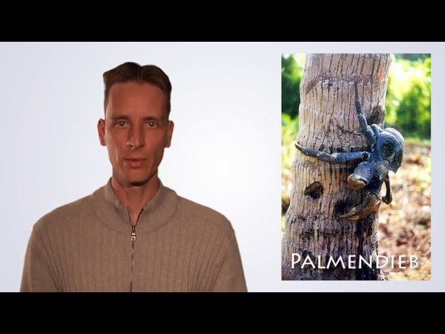 Crustacea / Krustentiere erkennen