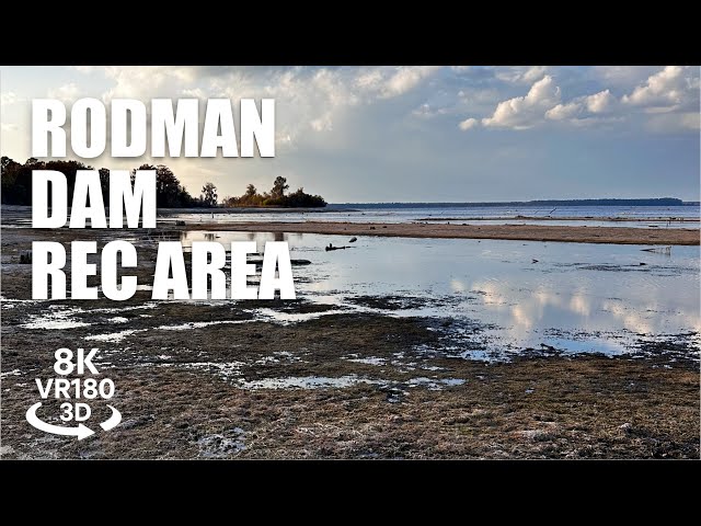 Rodman Dam Recreation Area 180VR 8K 3D | Cross Florida Greenway Virtual Walk | VR视频 8K 3D動画 VR旅行