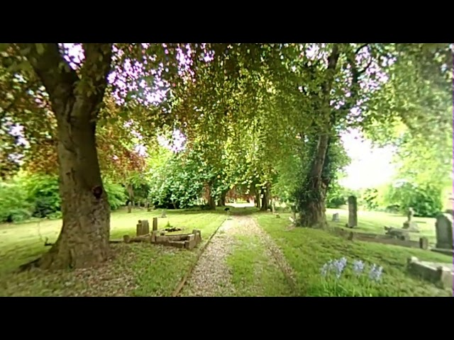 VR180 mesh projection test.