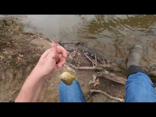 cold weather bluegill/shellcracker the easy way