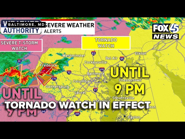 LIVE: Chief Meteorologist Gerard Jebaily Tracks Tornado Watch, Severe Storms in Maryland
