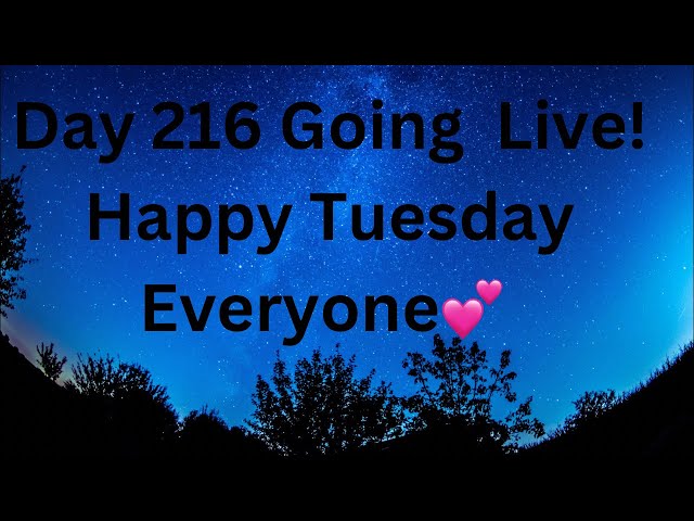 Day 216 Of Being A Consistent Content Creator!