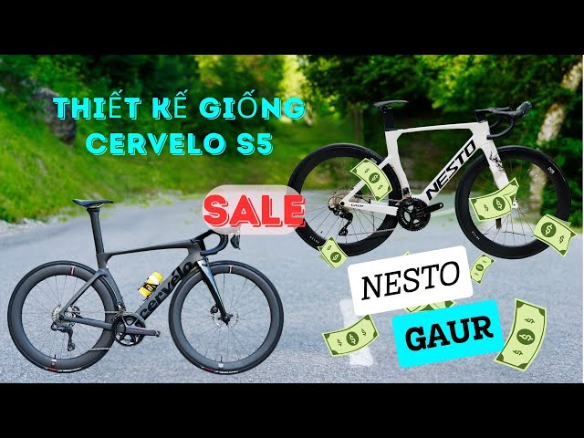 1 chiếc Nesto Bò tót về Bình Dương trong tối 👉0935593951☎️ #LêĐức #nesto #nestogaur